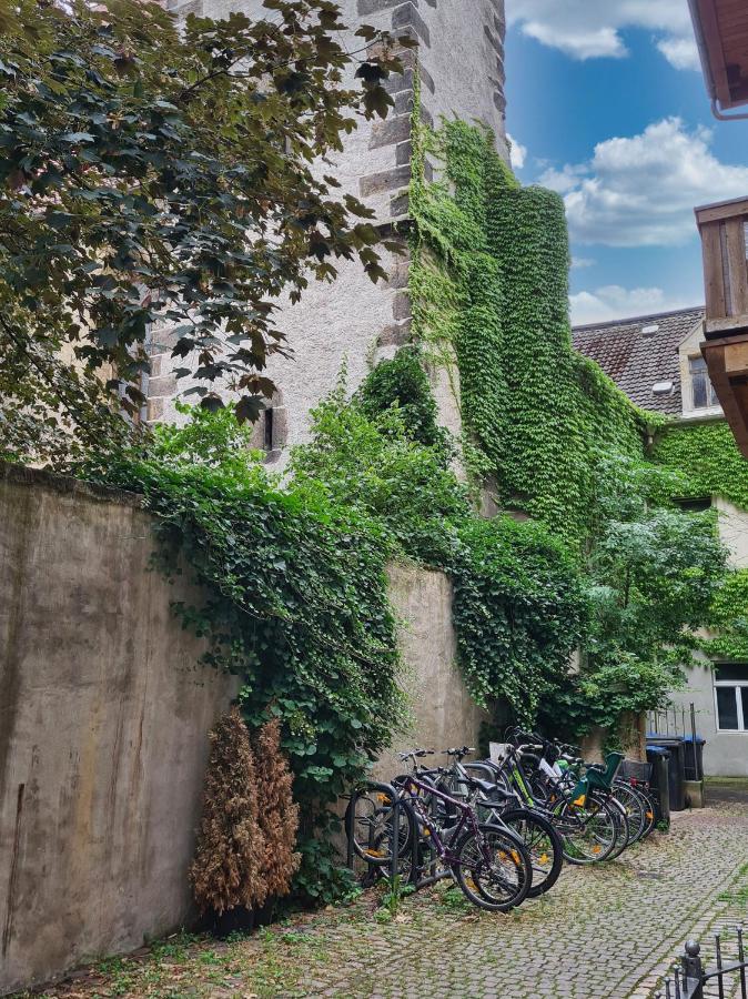 Altstadt Domizil Pirna Exterior photo